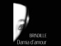 Damia d'amour - Brindille