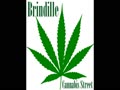 Cannabis Street - Brindille