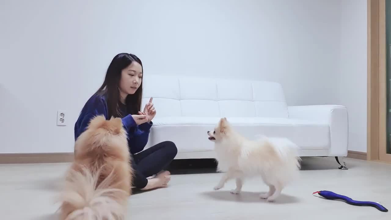 침대위에서 자위 생방송 하는 인기 BJ!!! - FC2동영상
